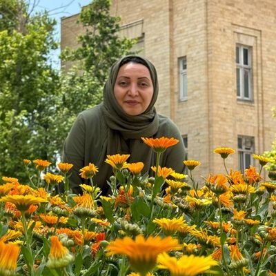 Eghlima(Ensiyeh Pouladzadeh)
blogger
انسیه پولادزاده
اقلیما پولادزاده 
جهانگرد ، نویسنده ، تسهیل‌گر مطالعات ارتباطی و رسانه ای