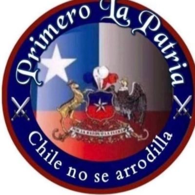 🇨🇱Secretaria Ejecutiva jubilada. Acepto opiniones no groserías. Mayor alegría, mi hija. Cuidemos nuestros ancianos. Dios, Patria, Familia y  Libertad.