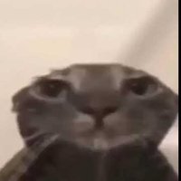 Gen.G ALLU (@allushinrl) 's Twitter Profile