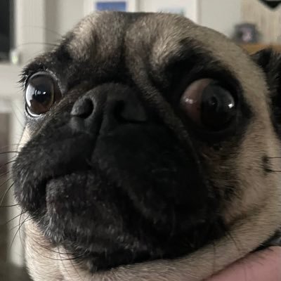 jackbags1's profile picture. “I wish there was a way to know you're in 'the good old days', before you've actually left them.” - The Nard Dog