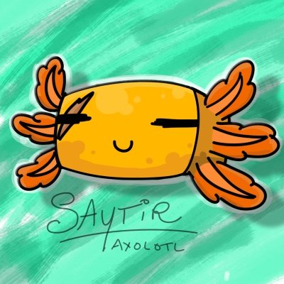 Salut,Moi c’est Saytir mon animal préféré est l’axolotl et j’aime bien l’art 🎨.Voilà