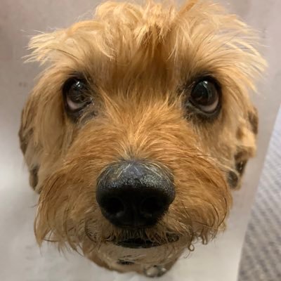 CMSeeley's profile picture. 