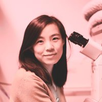 Xiaoyu Chen (@xiaoyuchenxy) 's Twitter Profile