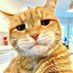 BEN😸 (@chidiebere_bo) Twitter profile photo BEN😸 (@chidiebere_bo) Twitter profile photo
