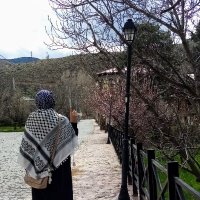 şeyma kaya(@neferiaksa_) 's Twitter Profile Photo