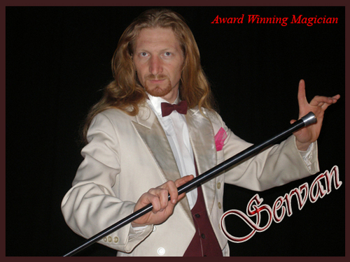 STEFANDAVIDKOV's profile picture. 