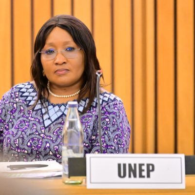 Director and Regional Representative for Africa, UN Environment Programme (UNEP) . All opinions are mine