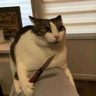 techguyghost's profile picture. 