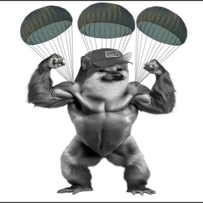 REFUSE | RESIST NAFO Biolab Grrrrilla Fellius Glorious Bonkas Maximus aka Doggy Kong #Guerilla_Cybers #Slava_Ukraini #Heroyam_Slava DMs ignored