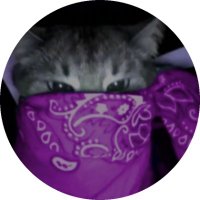 wokii (@wokiifv) 's Twitter Profile