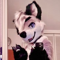 ✦ 🦋 Auri 🌸 ✦ 🔜 FWA (@iamaurorius) 's Twitter Profile Photo ✦ 🦋 Auri 🌸 ✦ 🔜 FWA (@iamaurorius) 's Twitter Profile Photo