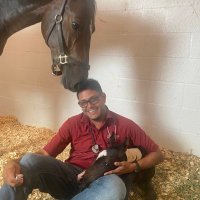 Hermán Guanipa van-G (@higvg) 's Twitter Profile