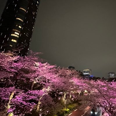 私大24卒/TOEIC720点 /化粧品検定二級/ 人生に向き合う/ENTJ/長期インターン採用人事経験有/日々勉強中/旅行が好き、美味しい食べ物好き/美容オタク