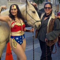 Karina Grace (@horseactivist) 's Twitter Profile
