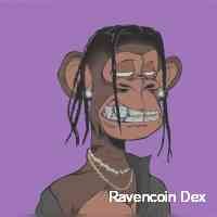 raencoindex's profile picture. Creator of the giraffe ecosystem which includes giraffe token, giraffe nfts, and nft staking