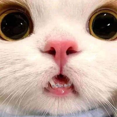 xanands's profile picture. Somos la memoria que tenemos y la responsabilidad que asumimos; sin memoria no existimos y sin responsabilidad quizá no merezcamos existir. José Saramago.