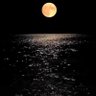 martinegilbert7's profile picture. NOTICE 📍 retweets are NOT an endorsement.
NB 📍E&OE all tweets WITHOUT PREJUDICE. 
nb 📍app ly in 🖊  2 req. removal of any tweeties causing u fear and alarm