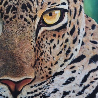 Deia🌹👑🐆🇧🇷🇪🇸