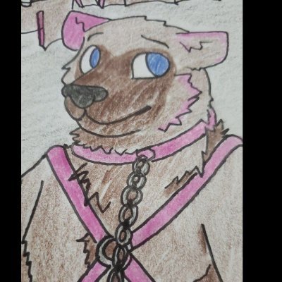 ragedknuckles's profile picture. Gamer