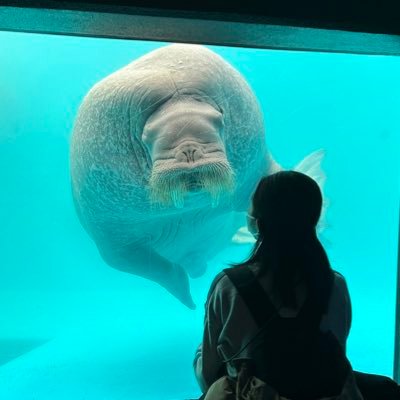 aquarium / zoo / fising / camera                       どこかの🐠🐡担当