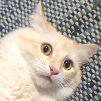 Will✨ (@bewareofcrazy) 's Twitter Profile
