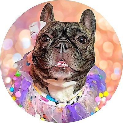 FrenchieShadow's profile picture. My name is French Bulldog Shadow and I love making new friends. Also check me out at https://t.co/msMpBFRhDW and https://t.co/4F7DZZ9Yzp