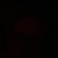 Megan Mckenzie With (@mmwest1202) 's Twitter Profile
