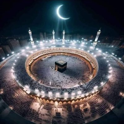 mhmd_ywsf25082's profile picture. 