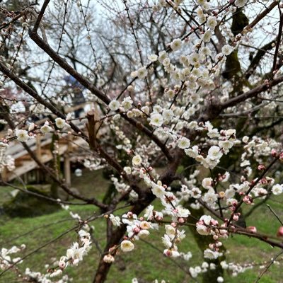 東京の輸入/製造の二代目。平成生まれ。専務取締役。昭和と令和の狭間で奮闘中。