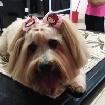 AlineVa40296337's profile picture. 