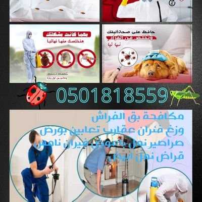 #شركة_مكافحة_الحشرات
  #رش_مبيدات بدون رائحه بالضمان
#مكافحة_حشرات
 #نمل #نامس# صراصير #بق_الفراش
#فيران #البق #وزغ #باعوض
#تنظيف_مكيفات #غسيل_مكيفات