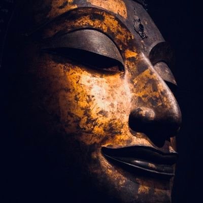 HarshitVais's profile picture. Sanatani | Vegan |  History Buff