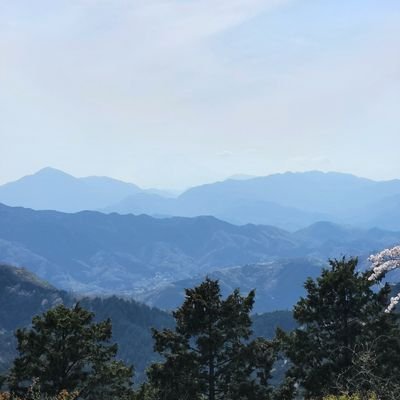 yoyoyozmp's profile picture. 