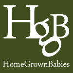 Writing to encourage, envision & equip motherhood - Homeschooling & church leading mother of 4 (taking a writing 'rest' in 2013, see you next year!)