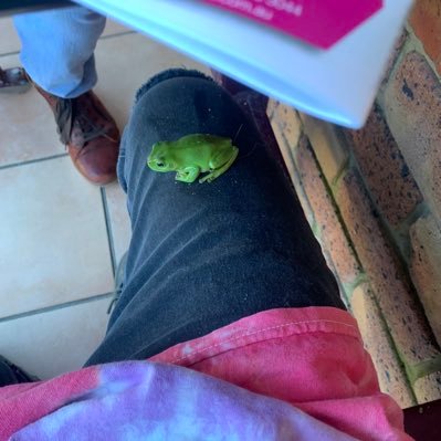 Rihanna17263946's profile picture. I am just here to look at a hole heap of stuff. 25