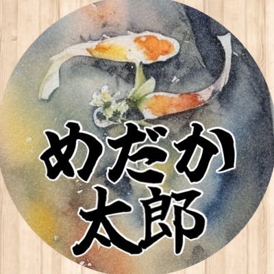 メダカ専用アカウントです。メダカのことしか発信しません笑 無言フォロー大歓迎、ぜひ繋がり情報交換しましょう❗️ (SNSの操作や返信不慣れです。すいません💦)