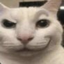 john from discord (@johnfrdiscord) 's Twitter Profile