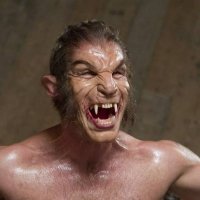 TF lover (@dklong14) 's Twitter Profile Photo