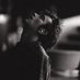 reilly (@reilly_19759) Twitter profile photo reilly (@reilly_19759) Twitter profile photo