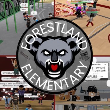FLESRBLX's profile picture. FLES is an virtual education experience on Roblox that provides Teamwork,Collaboration, and Education.