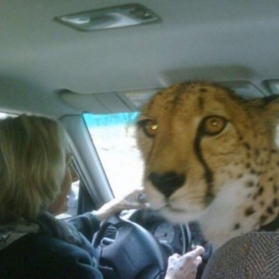 Howdy5668567471's profile picture. 25 any pn