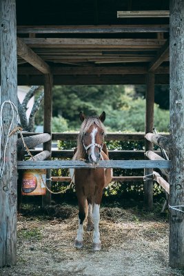 競馬と投資が好きというダメな30代です。投資はFXをメインにNISAもやってますのでその辺発信していきたいです。