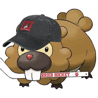 Sleep deprived bidoof lover 19 | BU | Devils, Giants, Mets