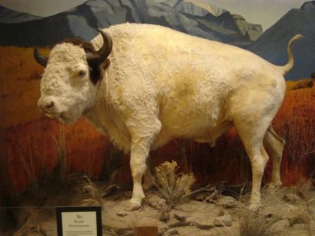 GodsSport's profile picture. Still waiting for Willow 2