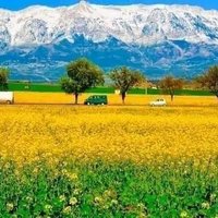 انور (@houas4000) 's Twitter Profile