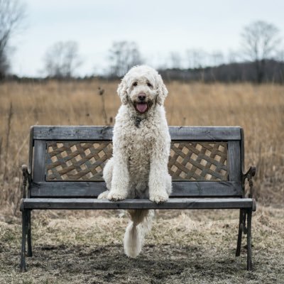 CV_Papermachine's profile picture. 