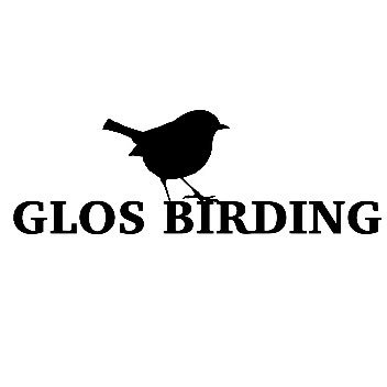 Here to provide the latest news on birdwatching in Glos.