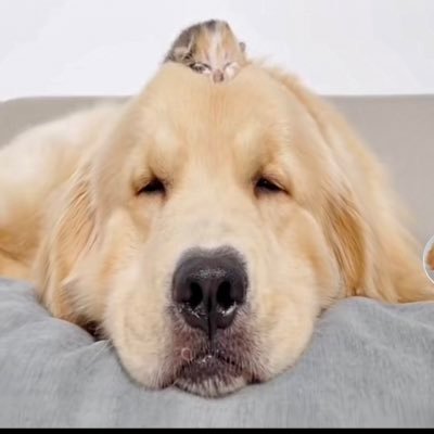 JsN08UmT0soSPxj's profile picture. 