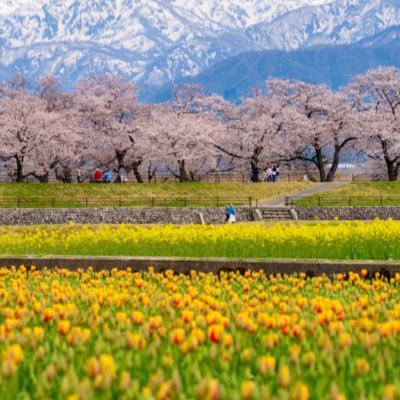 無言フォロー大歓迎です。自分と優しい世界のために、出来るだけポジティブに。いつか笑える日が来る。まずは自愛から。精神的自立が目標。頑張ろうね。