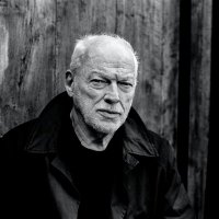 David Gilmour(@davidgilmour) 's Twitter Profile Photo